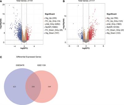 A novel scoring system for the quantitative prediction of prognosis in acute myeloid leukemia